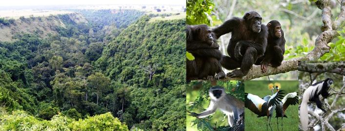 Attractions in Queen Elizabeth National Park Uganda