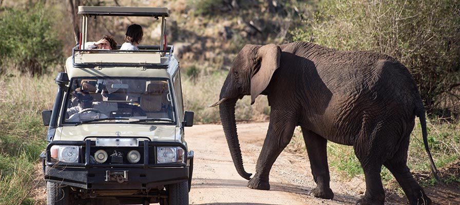 Uganda Safari Activities