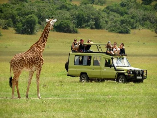 Top things to do in Queen Elizabeth National Park 2023